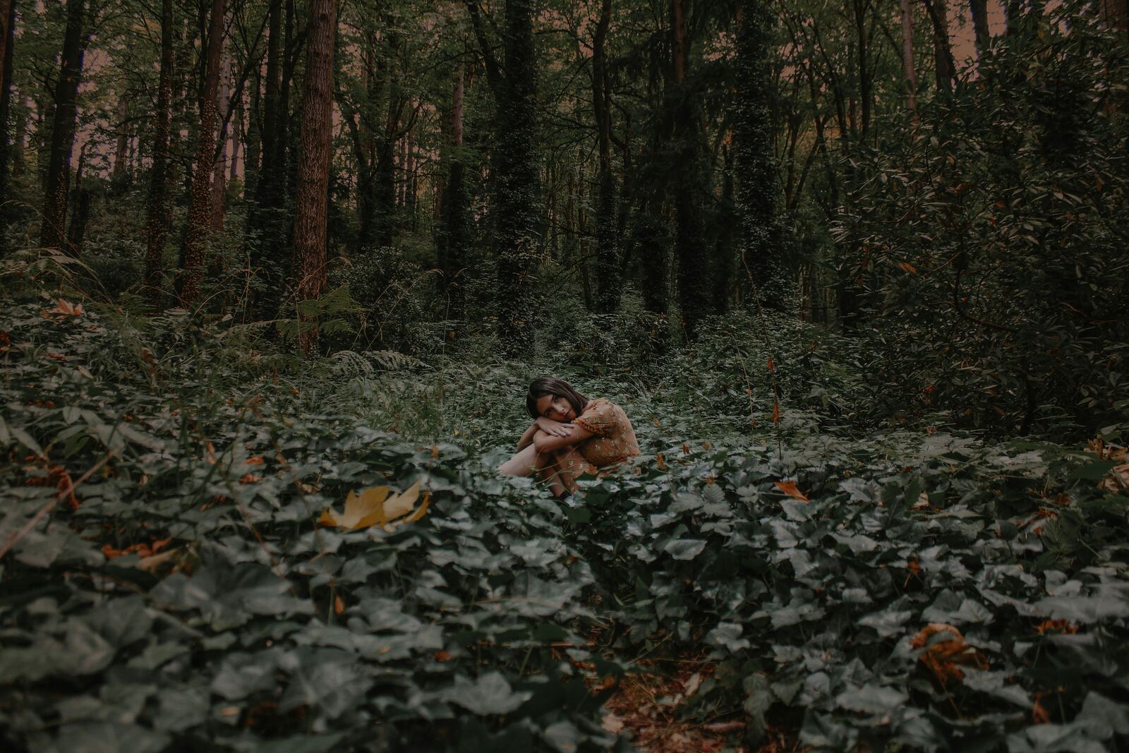 Forest Soul Therapy