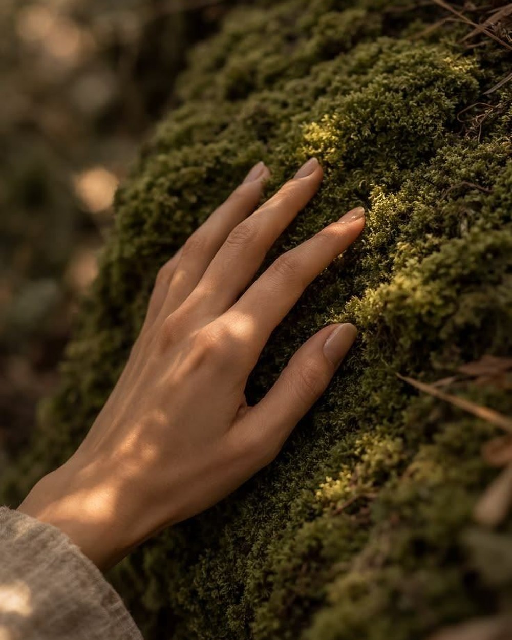 Hand resting on moss in a forest